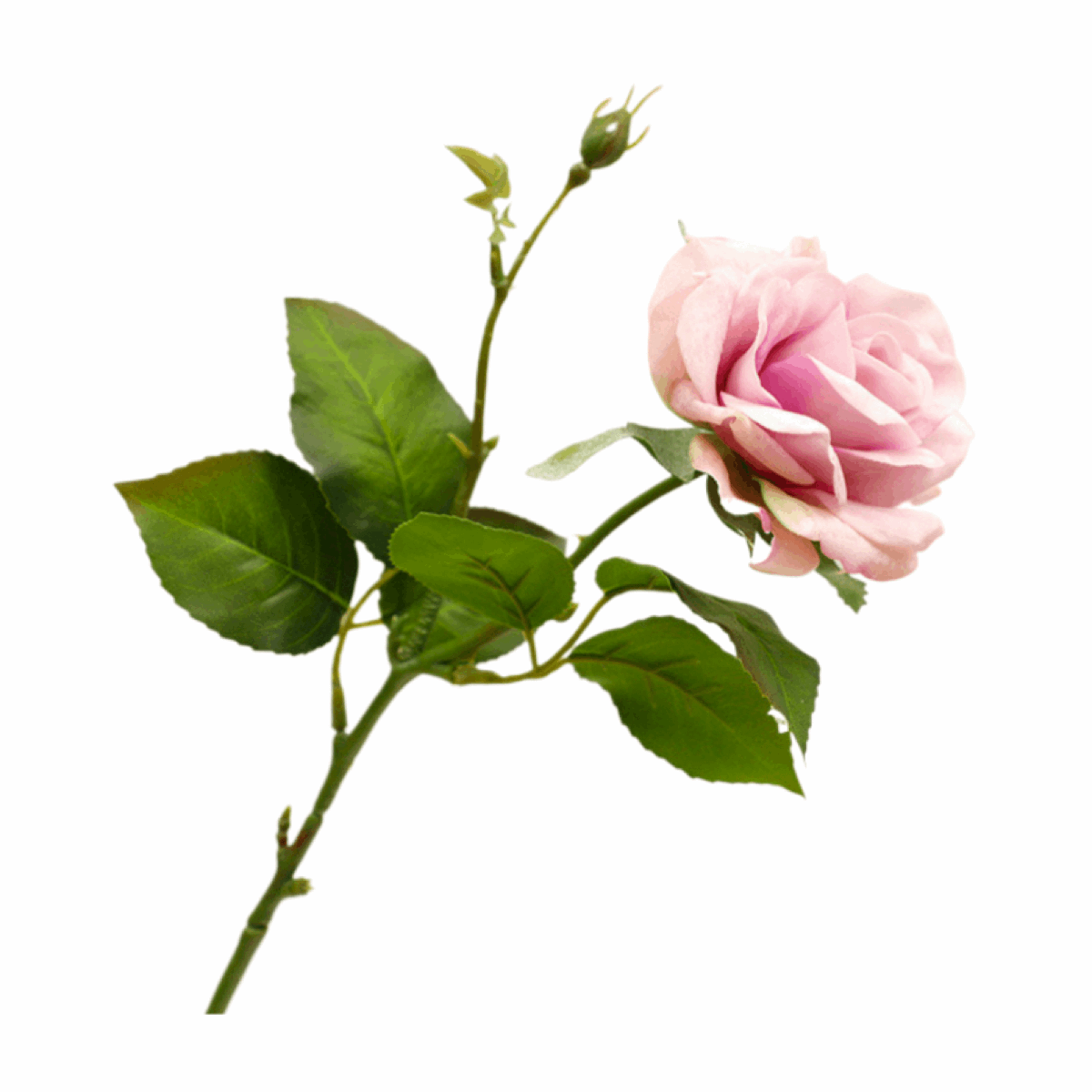 SMALL RELISTIC SILK MOISTURIZING ARTIFICIAL ROSES