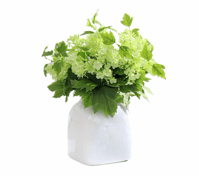 SMALL GREEN HYDRANGEA