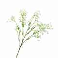 BABYSBREATH