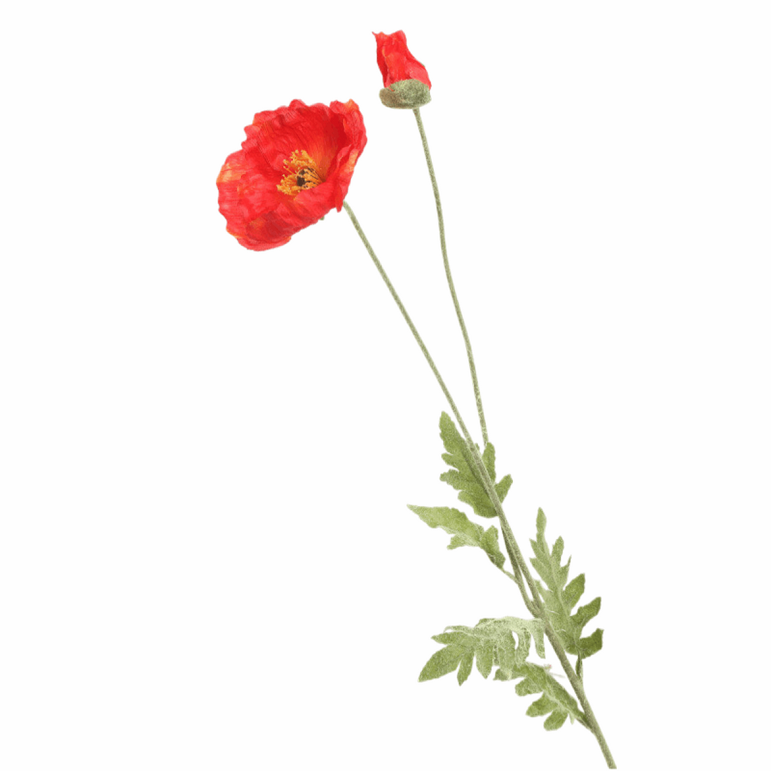 LARGE POPPY