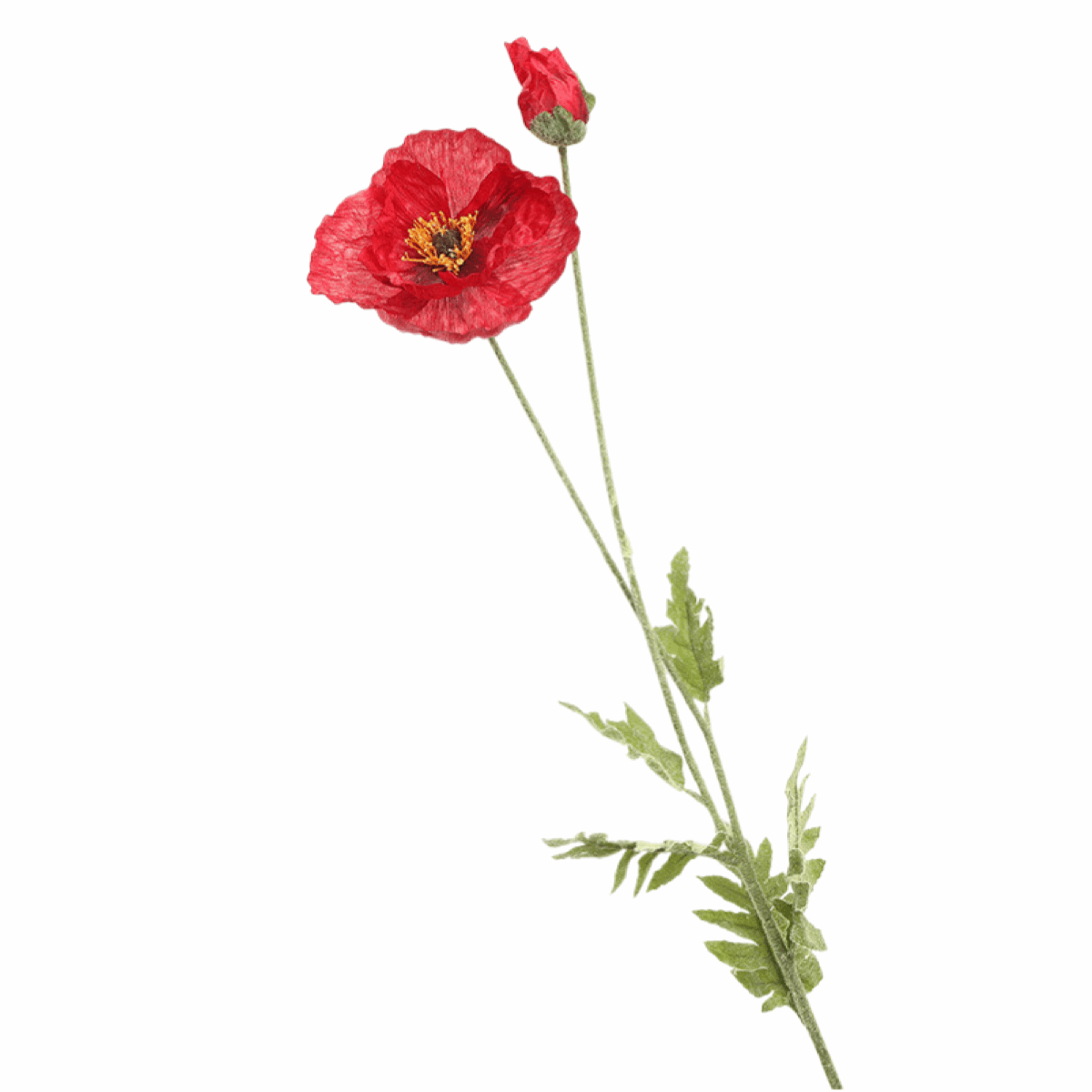 LARGE POPPY