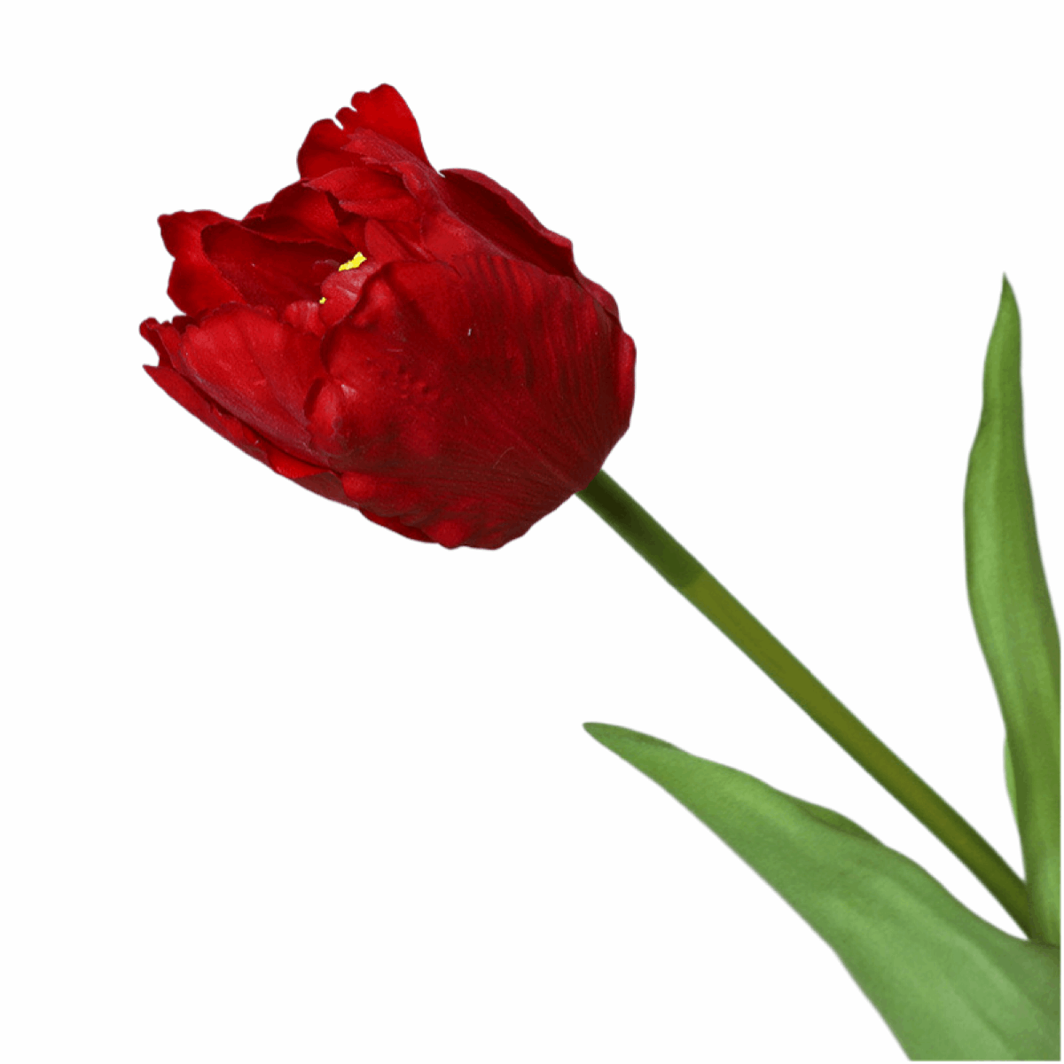 LARGE RELISTIC SILK MOISTURIZING TULIPS