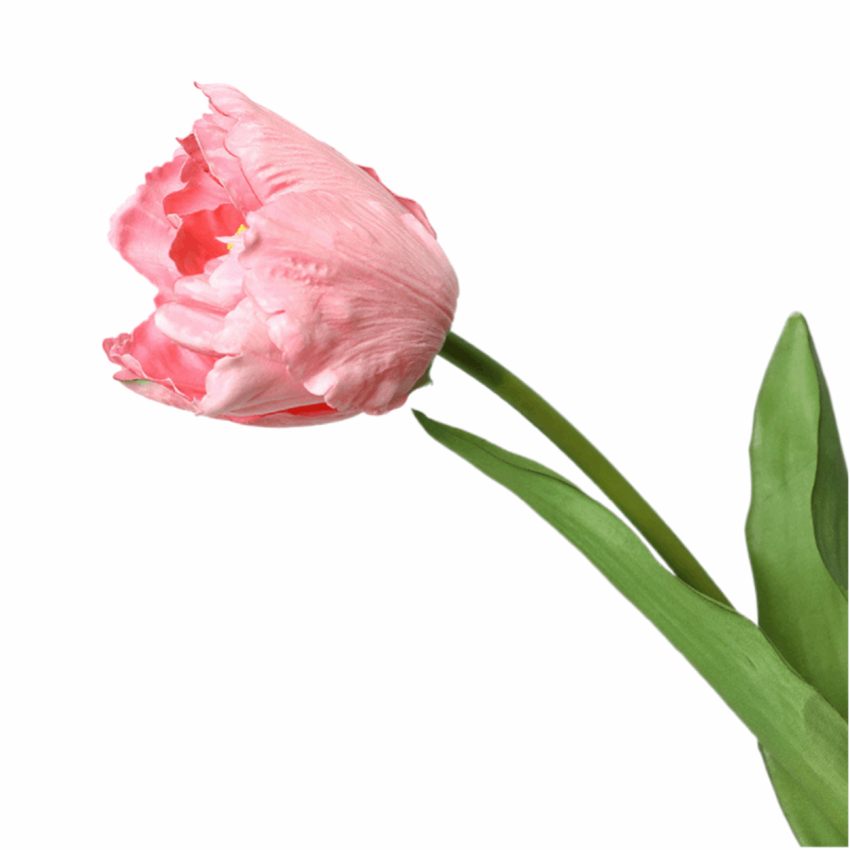 LARGE RELISTIC SILK MOISTURIZING TULIPS