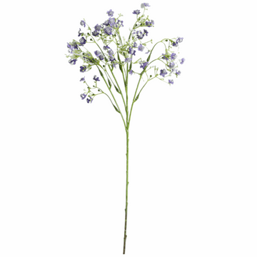 BABYSBREATH